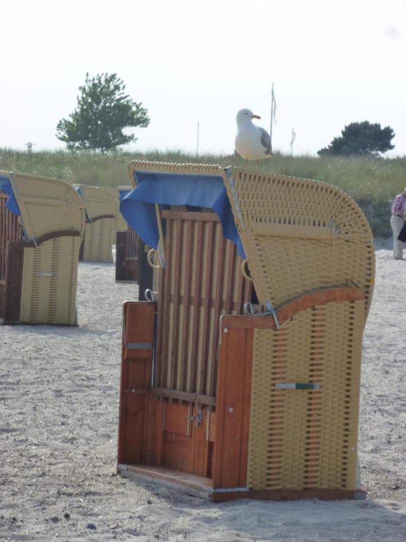 Traumhafter Ostsee-Ausblick, Fewo Direkt Am Strand Đảo Đảo Fehmarn Ngoại thất bức ảnh